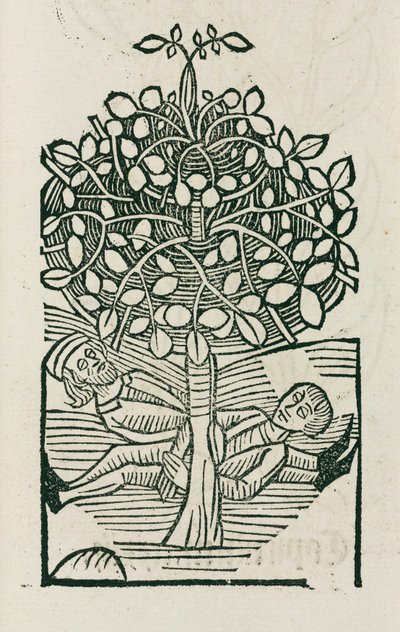 Der narkotische 