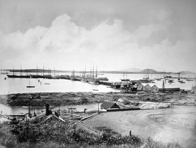 Der Hafen, Auckland, Neuseeland, um 1870-1880 von Unbekannt