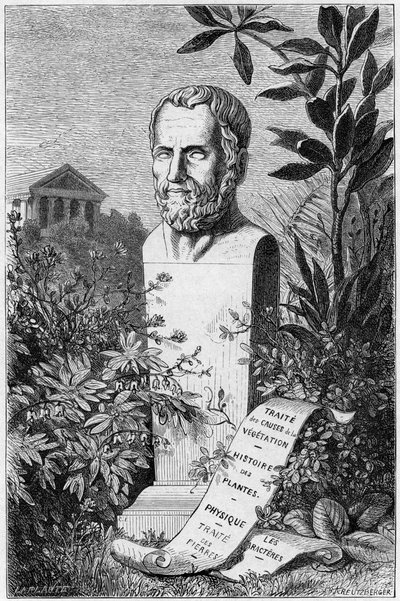 Theophrastus, antiker griechischer Philosoph und Wissenschaftler von Unbekannt
