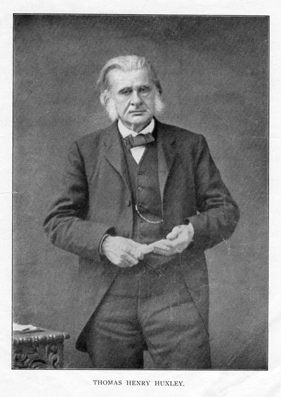 Thomas Henry Huxley, britischer Biologe, um 1870er von Unbekannt