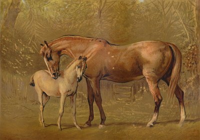 Vollblutstute und Fohlen, ca. 1879 von Unbekannt