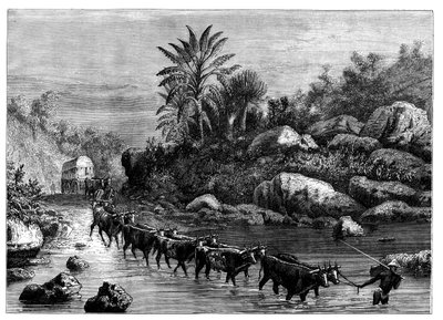 Reisen in Griqualand, Südafrika, ca. 1890 von Unbekannt