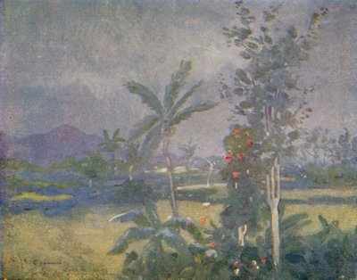 Tropische Regenfälle in Westindien, 1924 von Unbekannt
