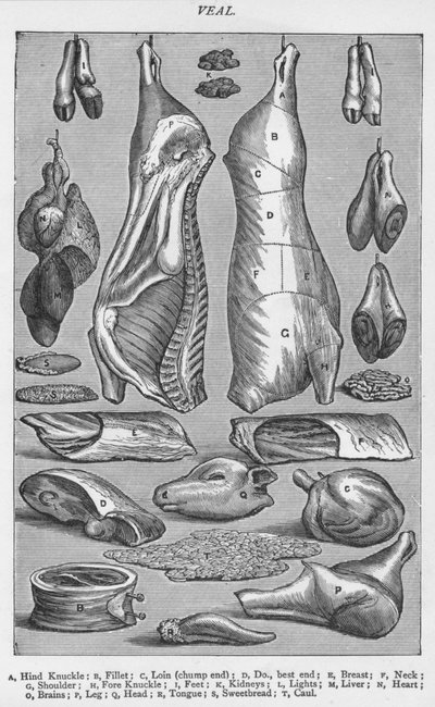 Kalbfleisch von Unbekannt