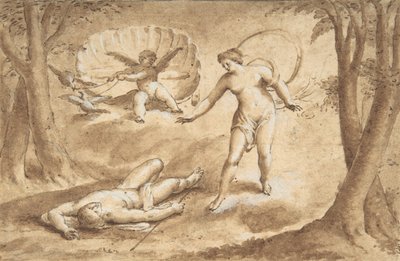 Venus entdeckt den Tod des Adonis, 17. Jahrhundert von Unbekannt