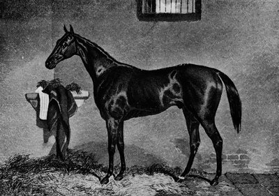 Voltigeur, 1847-1874, 1911 von Unbekannt