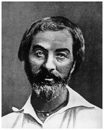 Walt Whitman, amerikanischer Dichter, 19. Jahrhundert von Unbekannt