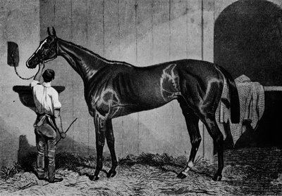 Westaustralier, 1850-1870 von Unbekannt