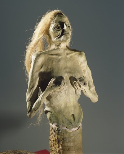 Halb-Frau, halb-Schlange Kreatur, Nachkomme von Melusine, 1900 von Unbekannt Unbekannt