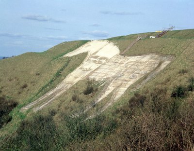Das Westbury White Horse von Unbekannt Unbekannt