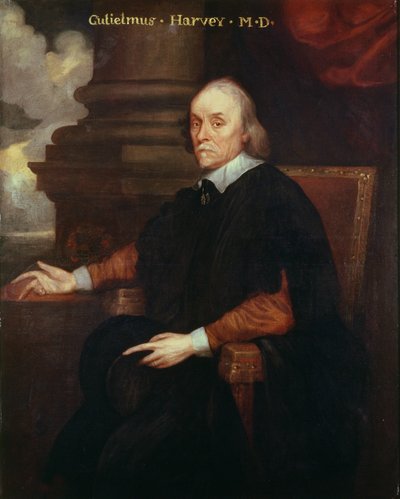 William Harvey (1578-1657) königlicher Arzt, 17. Jahrhundert von Unbekannt Unbekannt