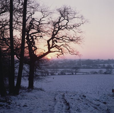 Winterszene im Schnee, Hockley, Essex von Unbekannt Unbekannt