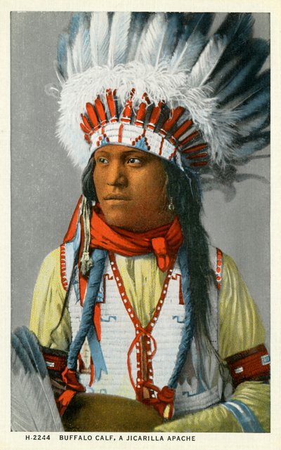 Ein Jicarilla-Apache Amerikaner von Unbekannter Künstler