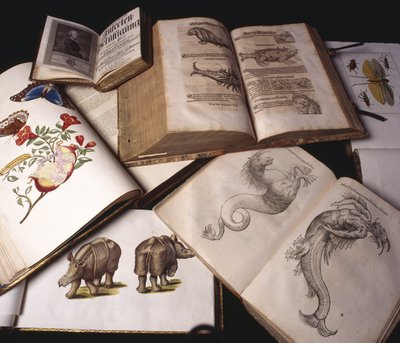 Alte Zoologiebücher von Unbekannt