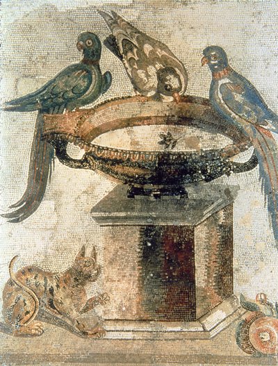 Vögel und eine lauernde Katze, aus Pompeji von Unbekannter Künstler