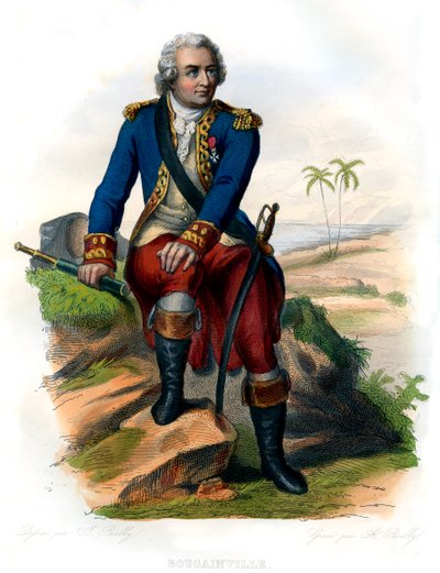 Bougainville von Unbekannter Künstler