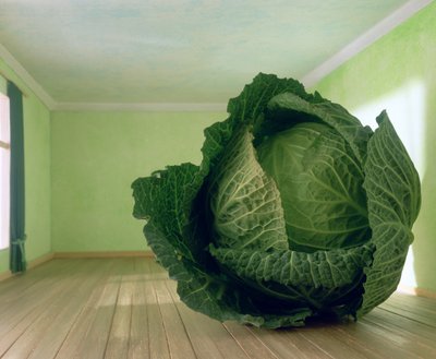 Kohl (nach Magritte) von Unbekannter Künstler