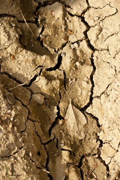 Trocken (Fotografie) von Unbekannter Künstler