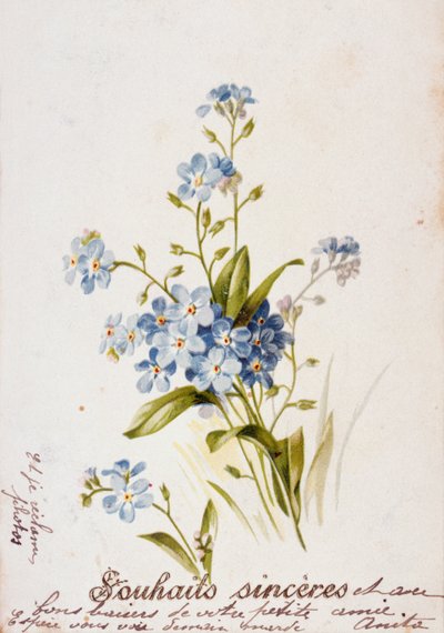 Französische Geburtstagskarte mit Blumenelementen von Unbekannter Künstler