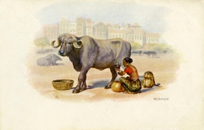 Indische Milchmädchen und Ochse von Unbekannter Künstler