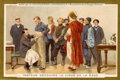 Louis Pasteur entdeckt das Tollwutvirus von Unbekannter Künstler