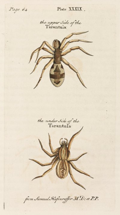 Mikroskopie von Unbekannt