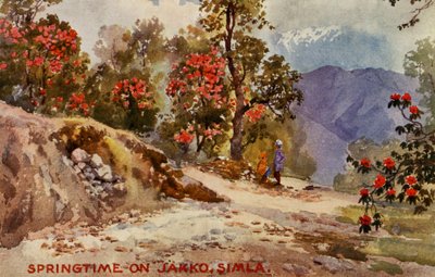 Frühling auf Jahko, Simla, Indien von Unbekannter Künstler