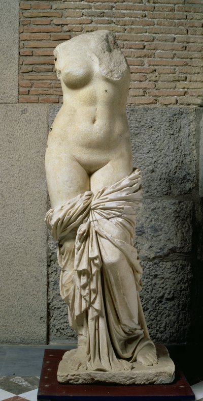 Die Sinuessa Aphrodite von Unbekannt