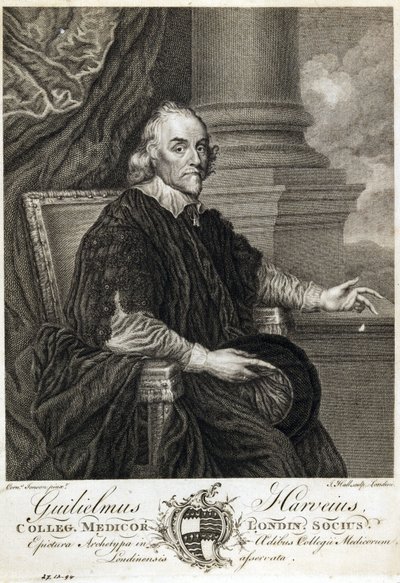 William Harvey, englischer Arzt von Unbekannt