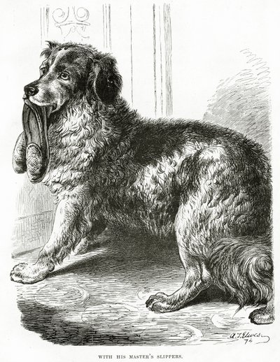 Mit den Hausschuhen seines Meisters (1902) von Unbekannt