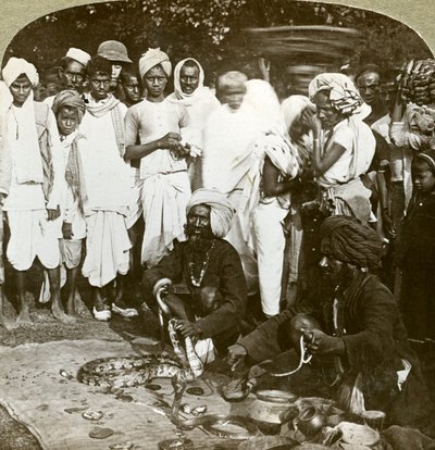 Schlangenbeschwörer, Kalkutta, Indien, um 1900 von Underwood and Underwood