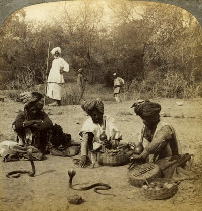Schlangenbeschwörer, Delhi, Indien von Underwood and Underwood