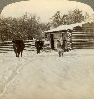 Winter auf einer Ranch, Montana, USA von Underwood and Underwood