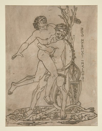Herkules und Antäus von Unknown