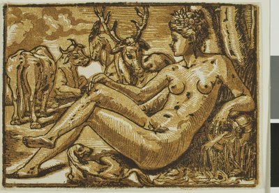 Nymphe von Fontainebleau von Unknown
