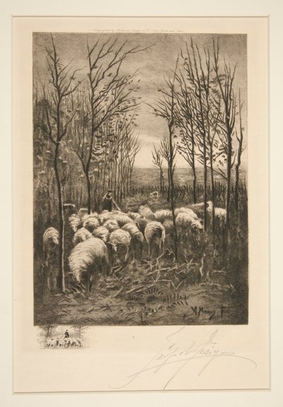 Schafe auf der Weide von Unknown