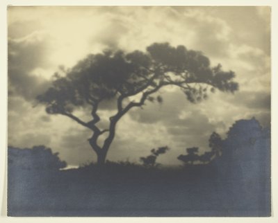 Ohne Titel (Wolkige Landschaft mit Baum) von Unknown