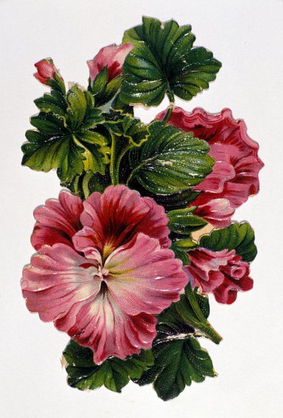 Blumenstrauß. Chromolithographie des 19. Jahrhunderts von Unknown artist