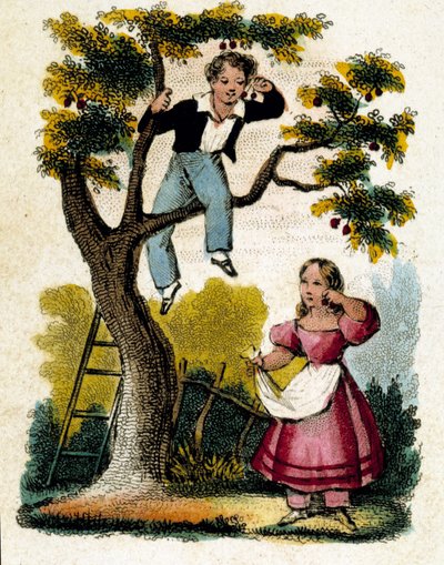 Kirschen pflücken - Chromolithografie, Ende 19. Jahrhundert von Unknown artist