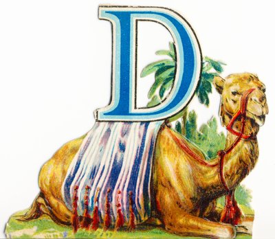 D: Dromedar von Unknown artist