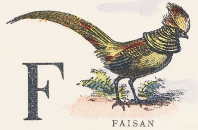 F: Fasan von Unknown artist