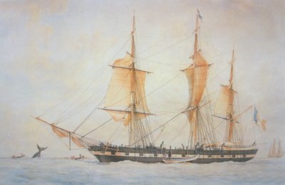 Französisches Walfangschiff, ca. 1845 von Unknown artist