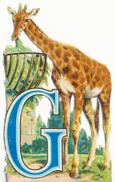 G: Giraffe von Unknown artist