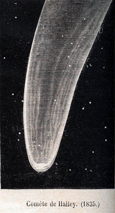 Halleyscher Komet 1835 - Gravur um 1867 von Unknown artist