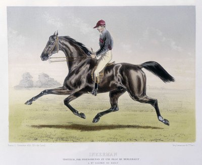 Inkerman - in „Der Centaur“ von Unknown artist