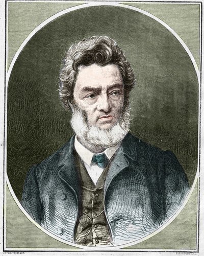 Jules Favre (1809-1880), französischer Politiker und Anwalt. von Unknown artist