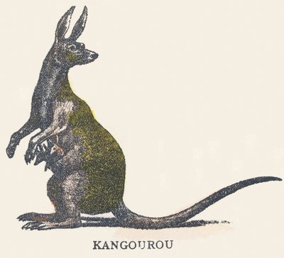 K: Känguru von Unknown artist