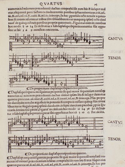 Seite aus Franchino Gaffurios Practica Musicae von Unknown artist