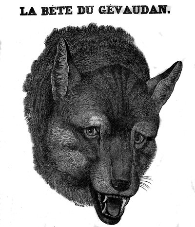 Darstellung der Bestie von Gévaudan von Unknown artist