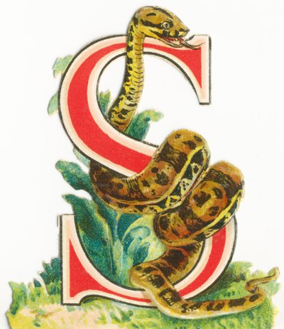 S: Schlange von Unknown artist